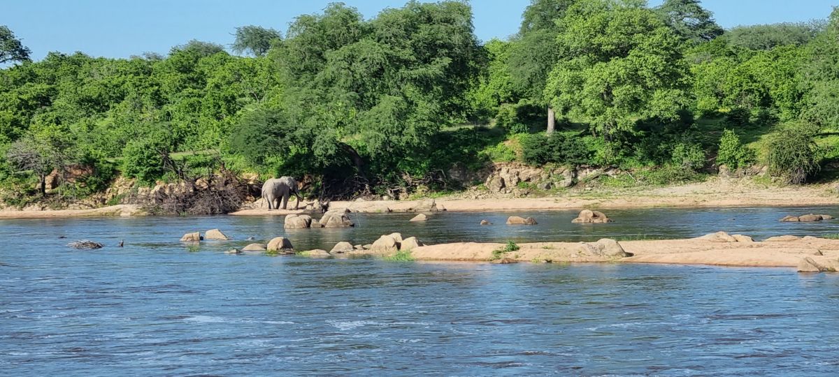 Ruaha River Lodge / Ruaha Nationalpark 25