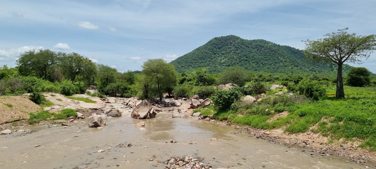 Ruaha River Lodge / Ruaha Nationalpark 12