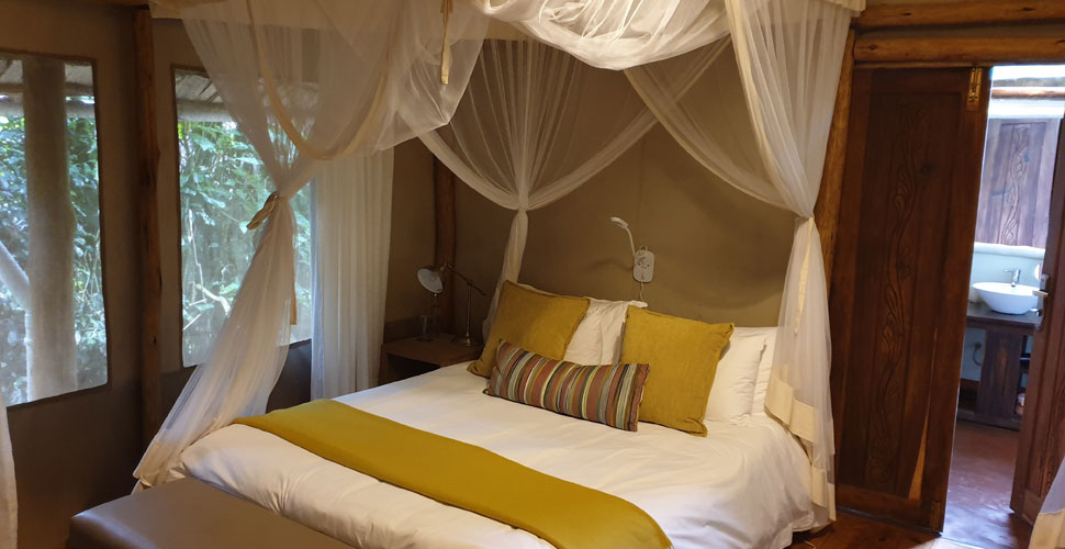 Sanctuary Gorilla Forest Camp / Uganda - Buhoma 4