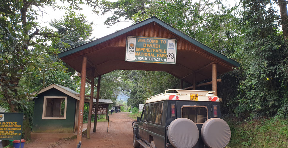 Sanctuary Gorilla Forest Camp / Uganda - Buhoma 20