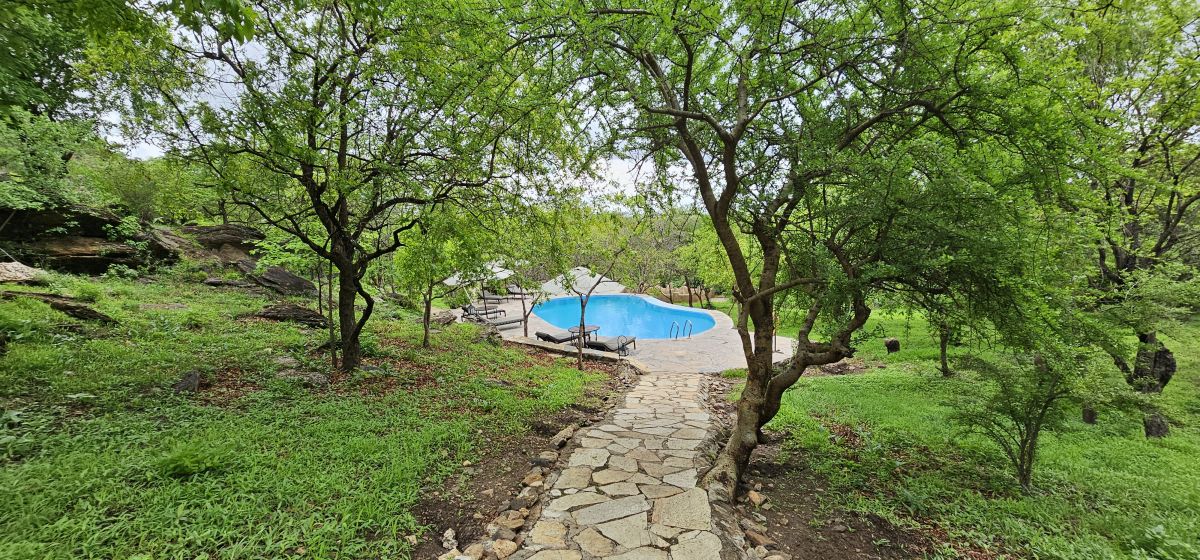 Sangaiwe Tented Lodge 10