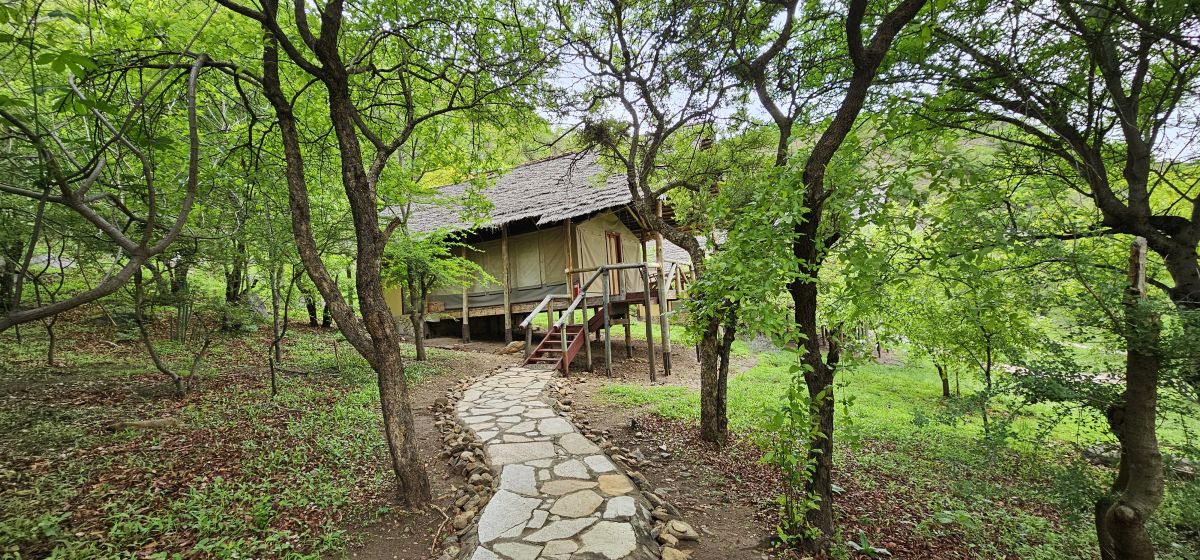 Sangaiwe Tented Lodge 14