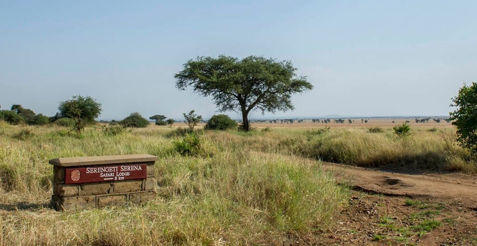 Serengeti Serena Safari Lodge 1