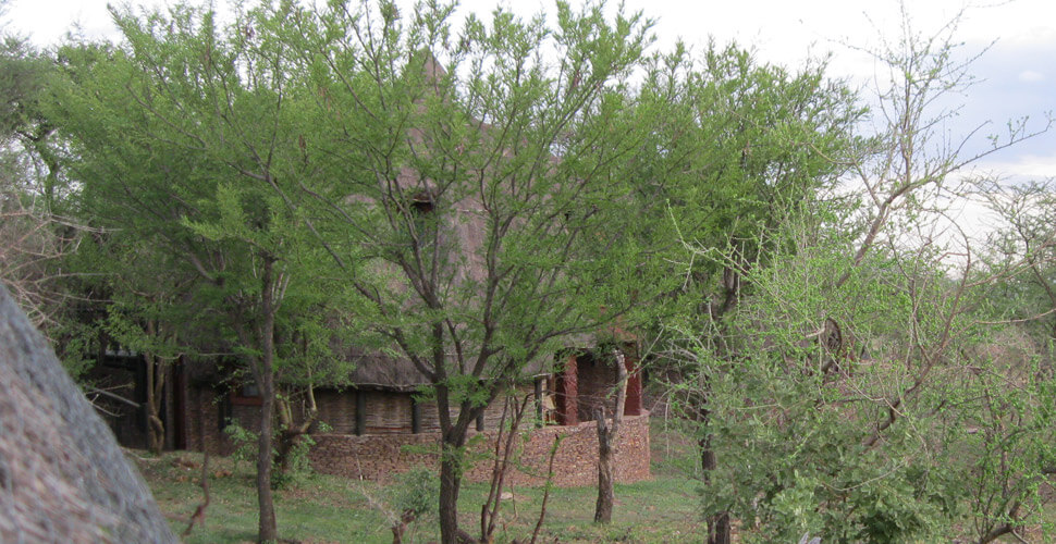 Serengeti Serena Safari Lodge 12