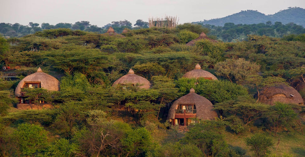 Serengeti Serena Safari Lodge 10