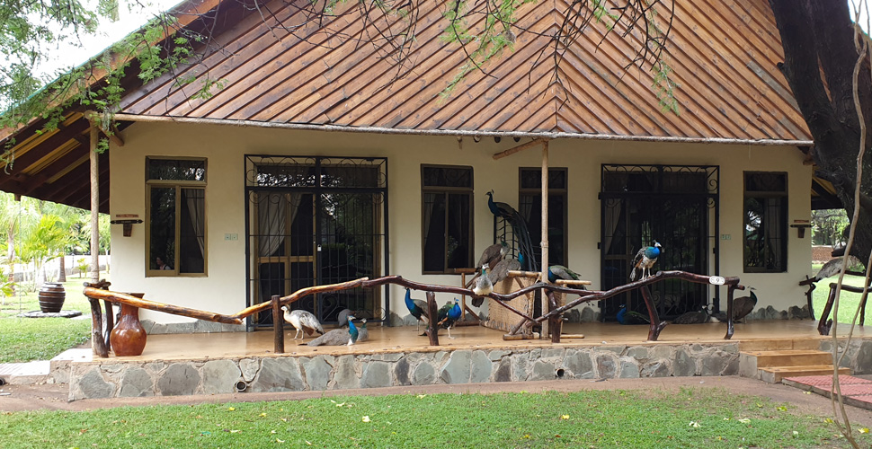 Serenity on the Lake Victoria 10