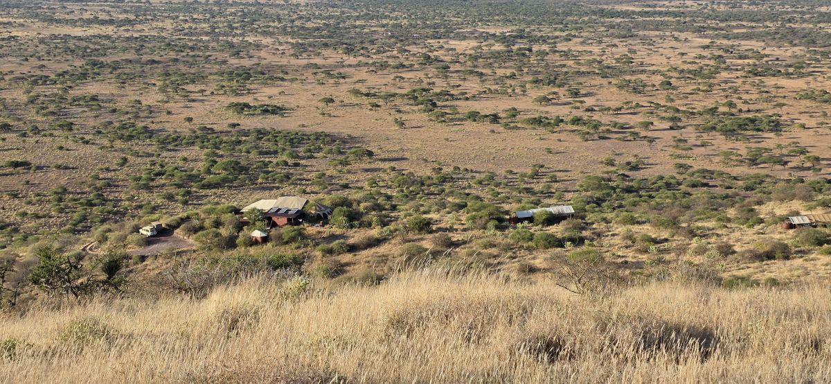 Shu’Mata Camp / West Kilimanjaro 3