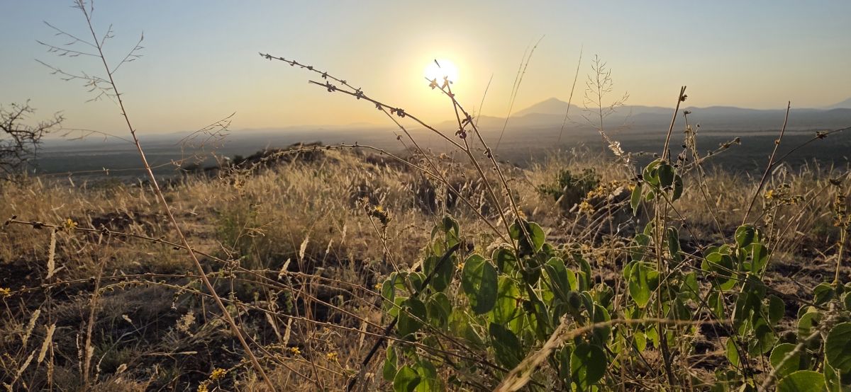 Shu’Mata Camp / West Kilimanjaro 14