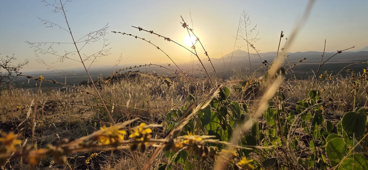 Shu’Mata Camp / West Kilimanjaro 6