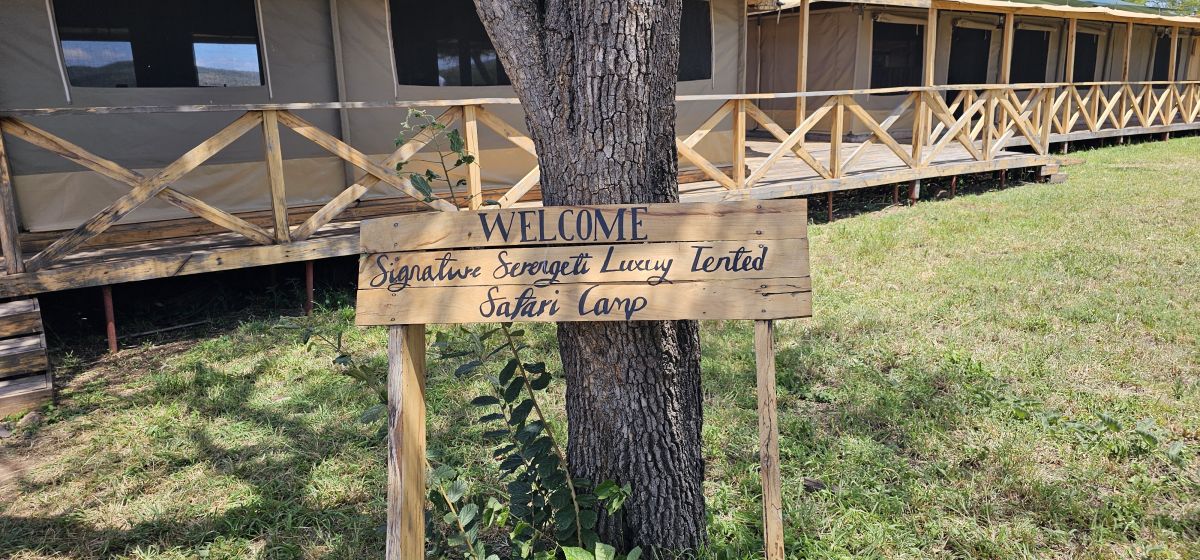 Signature Serengeti Luxury Tented Safari Camp 2