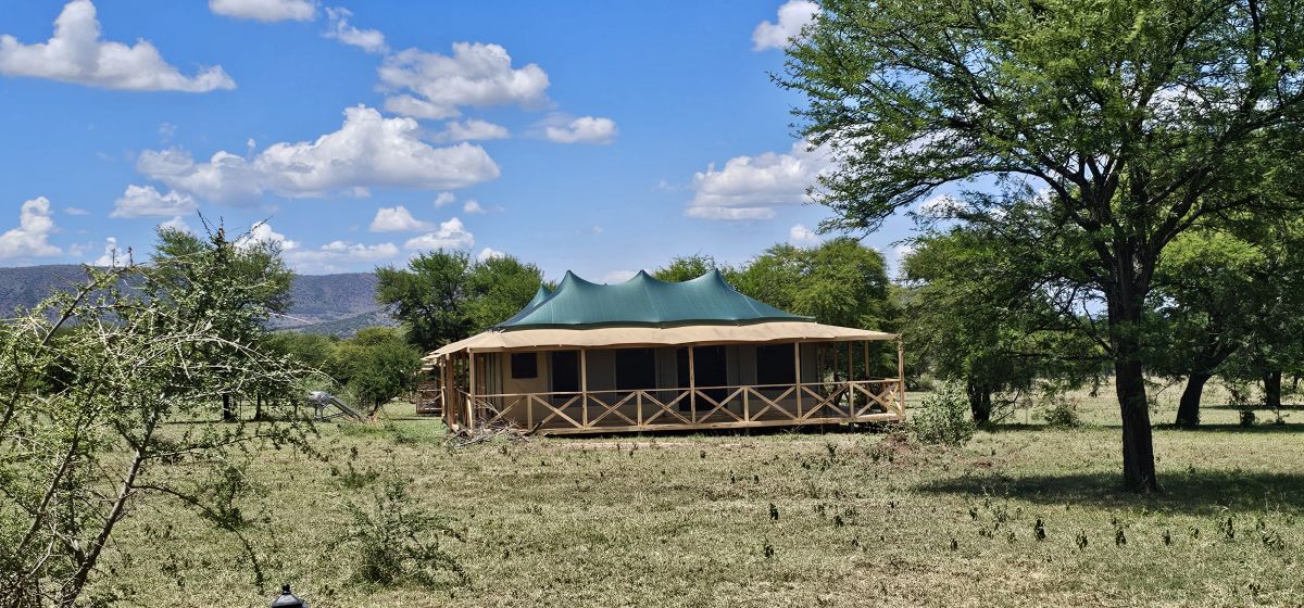 Signature Serengeti Luxury Tented Safari Camp 16