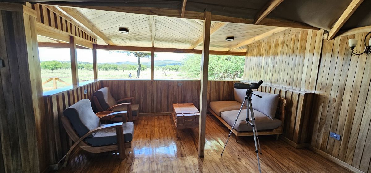 Signature Serengeti Luxury Tented Safari Camp 12