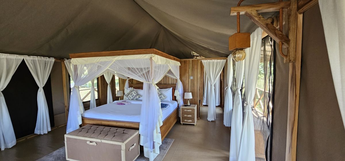 Signature Serengeti Luxury Tented Safari Camp 6