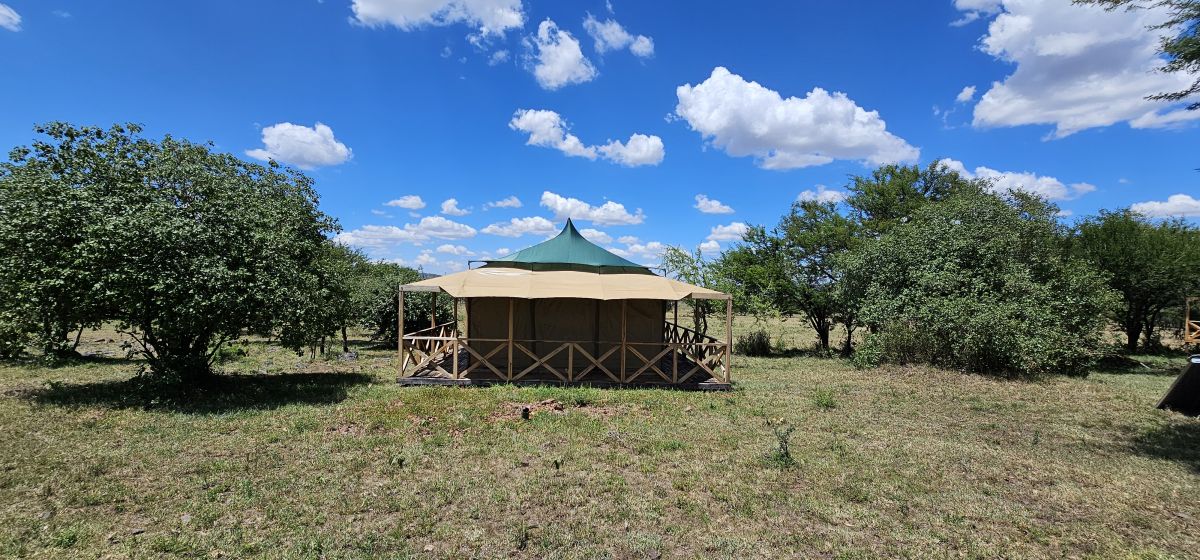 Signature Serengeti Luxury Tented Safari Camp 5