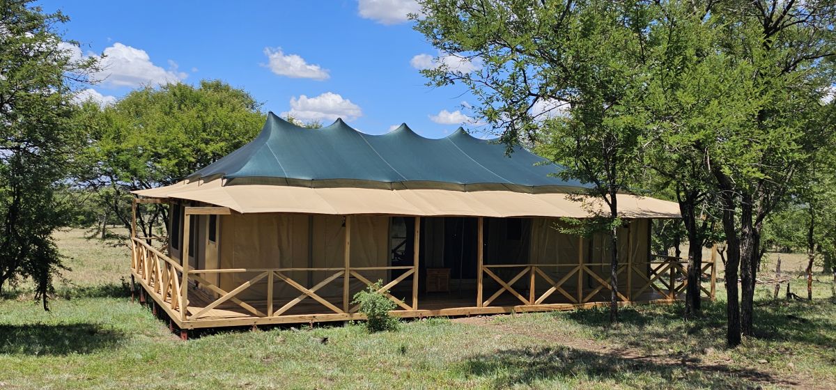 Signature Serengeti Luxury Tented Safari Camp 19
