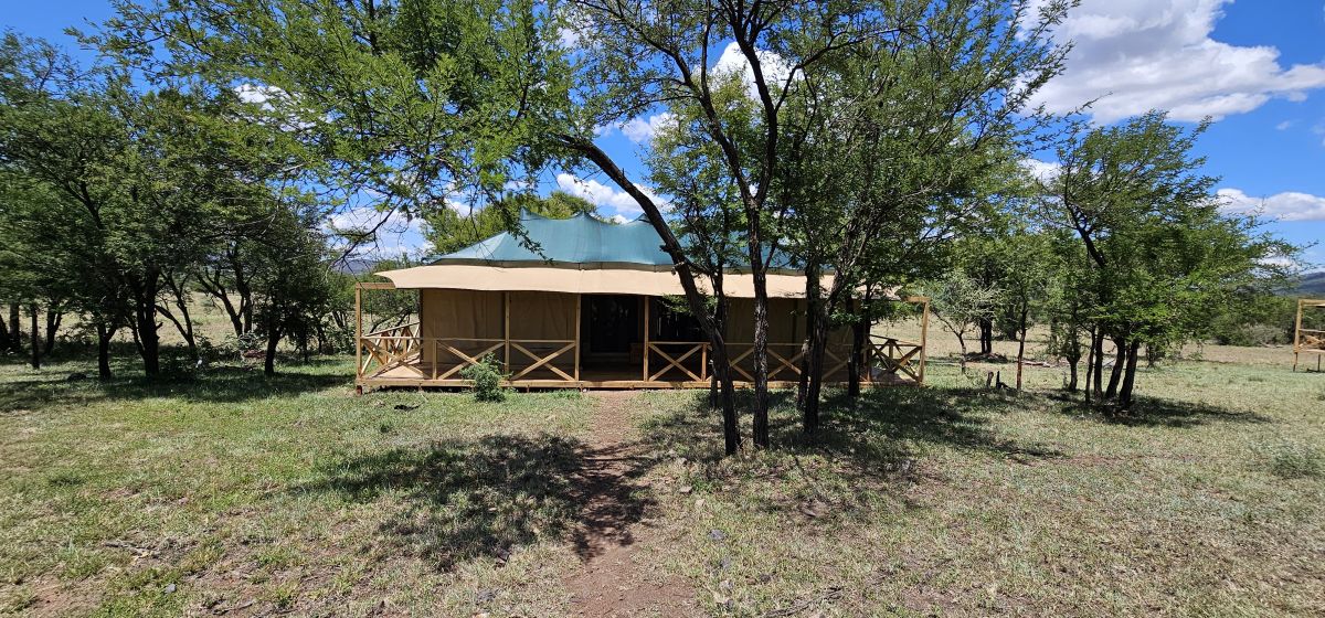 Signature Serengeti Luxury Tented Safari Camp 3