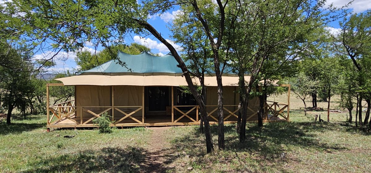 Signature Serengeti Luxury Tented Safari Camp 14