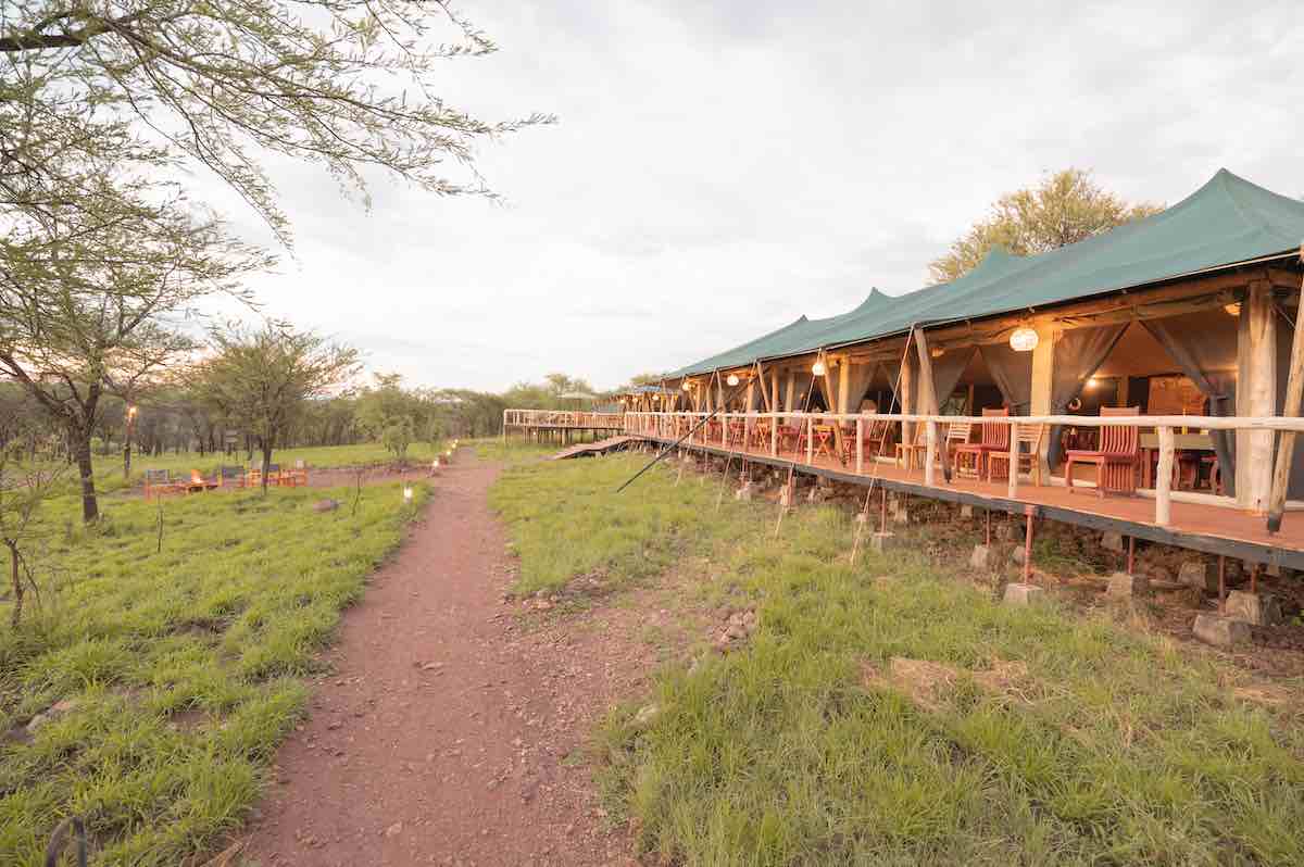 Tukaone Tented Camp / Serengeti 12