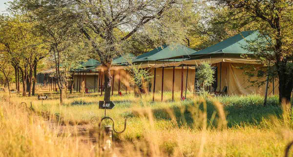 Tukaone Tented Camp / Serengeti 16