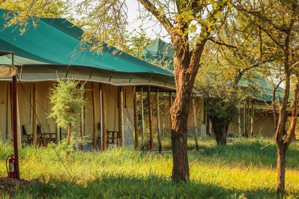Tukaone Tented Camp / Serengeti 8