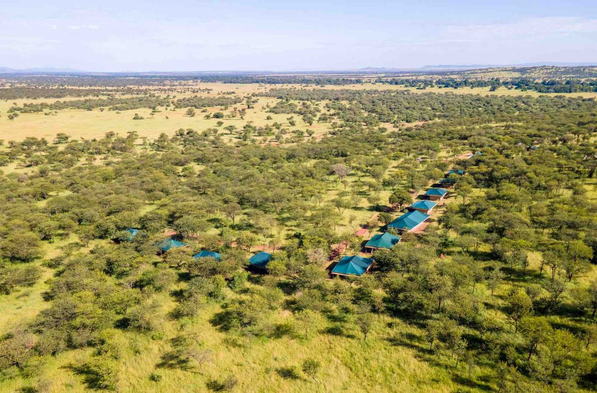 Tukaone Tented Camp / Serengeti 13