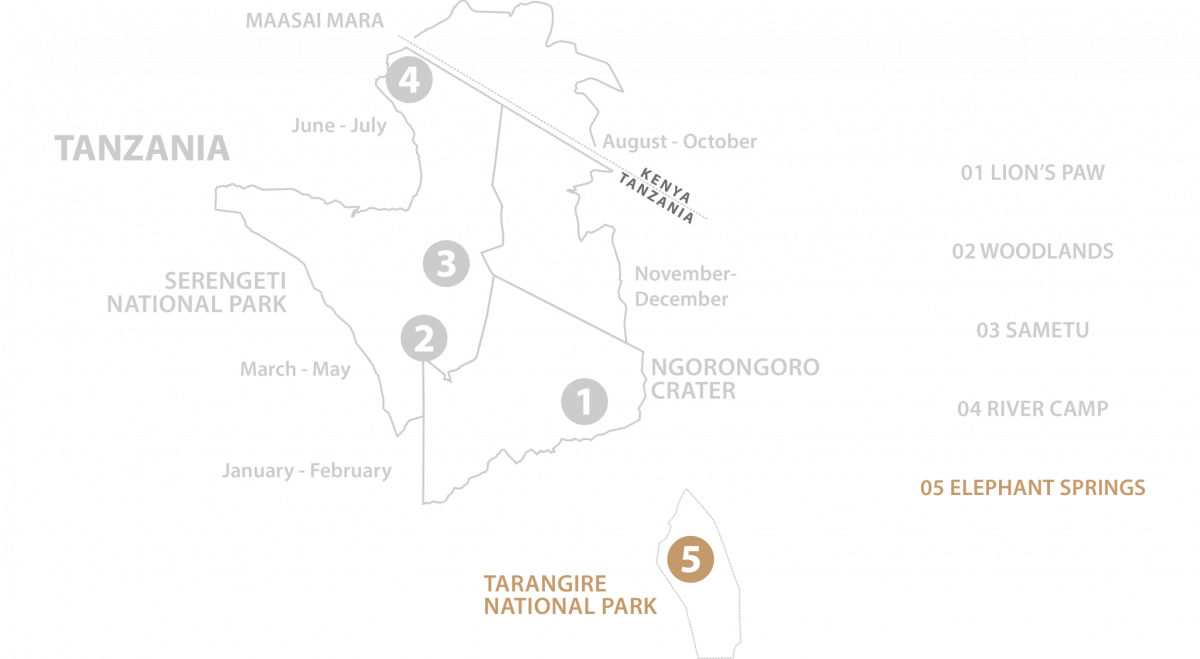 Tarangire Elephant Springs 14