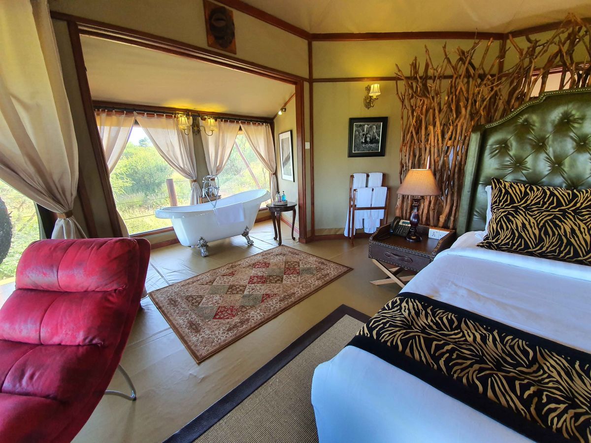 Tarangire Kuro Treetops Lodge 8