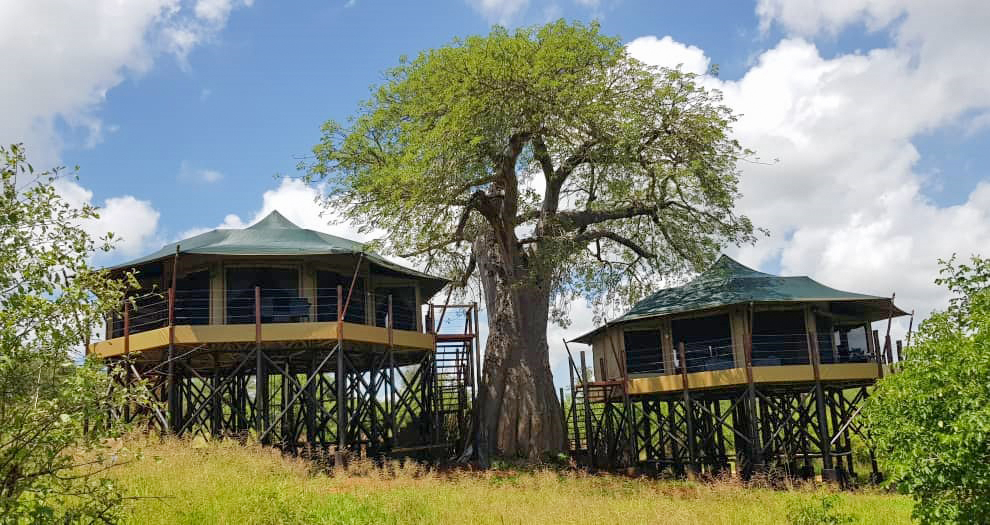 Tarangire Kuro Treetops Lodge 22