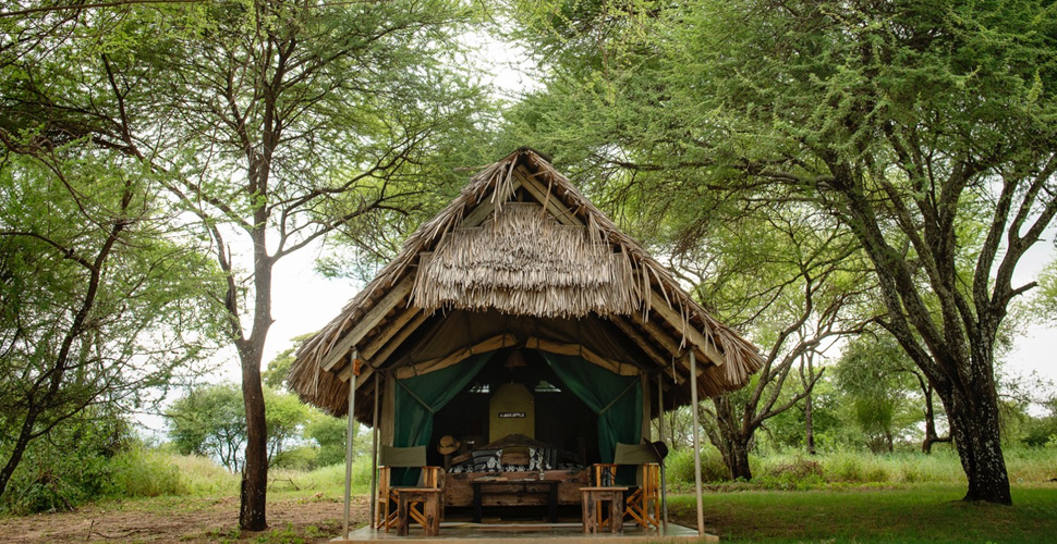 Tarangire Safari Lodge 2