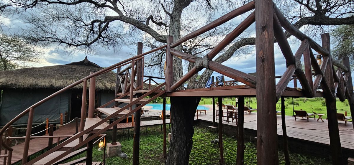 Tarangire Simba Lodge 20