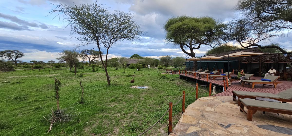 Tarangire Simba Lodge 22