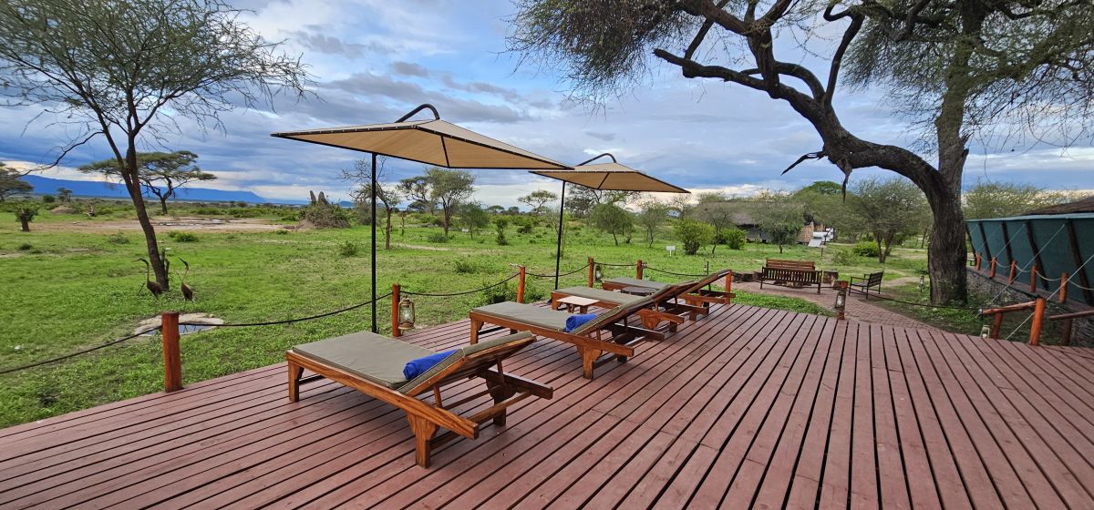 Tarangire Simba Lodge 13