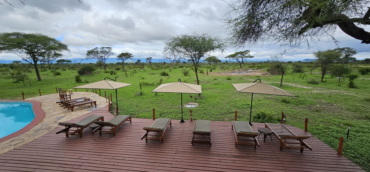 Tarangire Simba Lodge 12