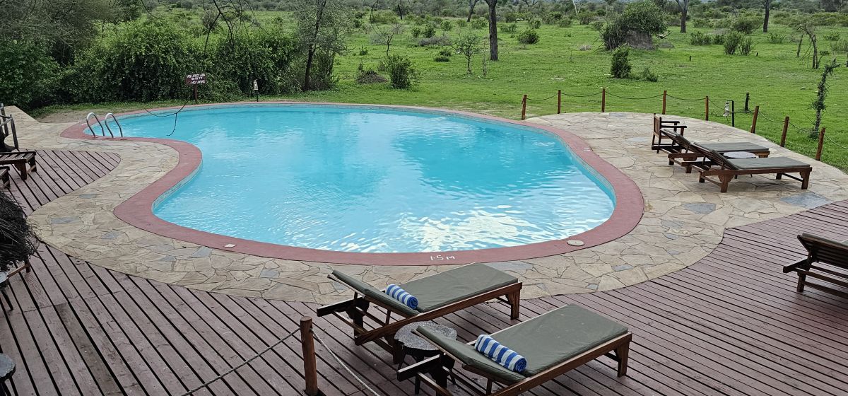 Tarangire Simba Lodge 8