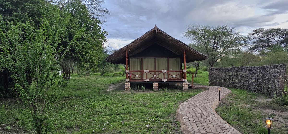 Tarangire Simba Lodge 1