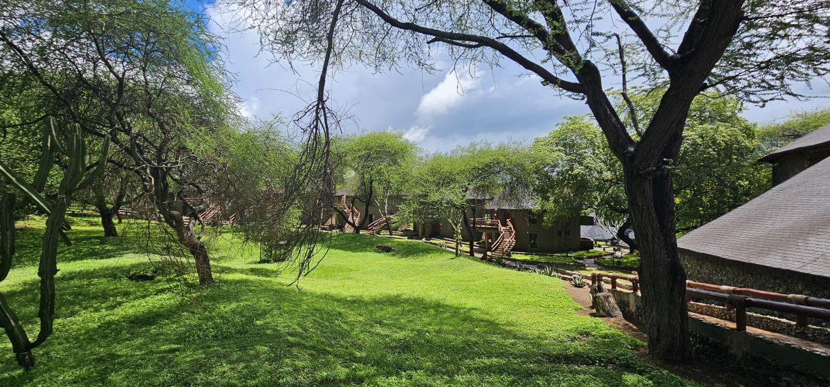 Tarangire Sopa Lodge 26