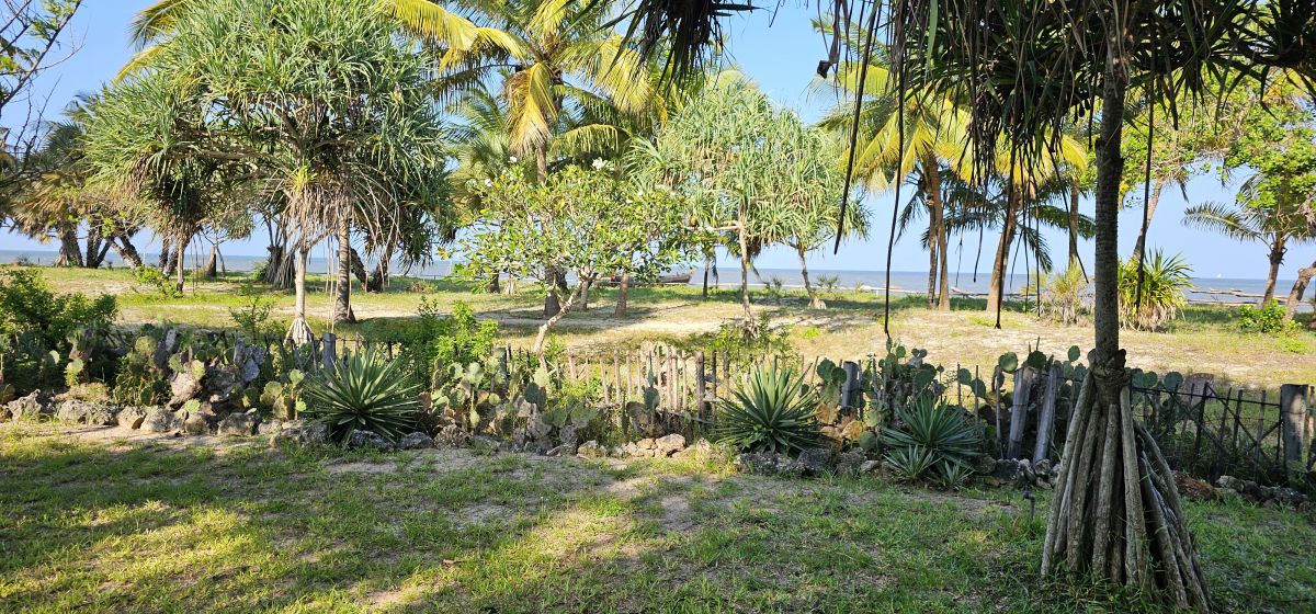 Travellers Lodge / Bagamoyo 5