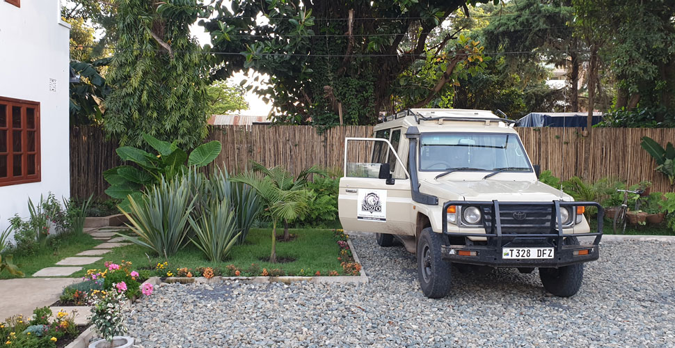 Villa Maua / Arusha 11