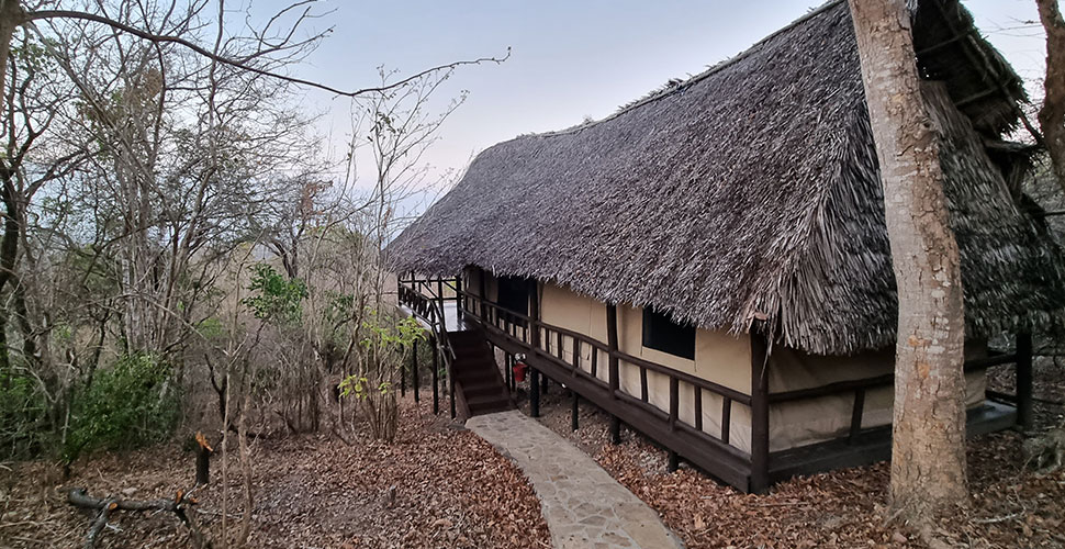 Vuma Hills Tented Camp / Mikumi Nationalpark 10