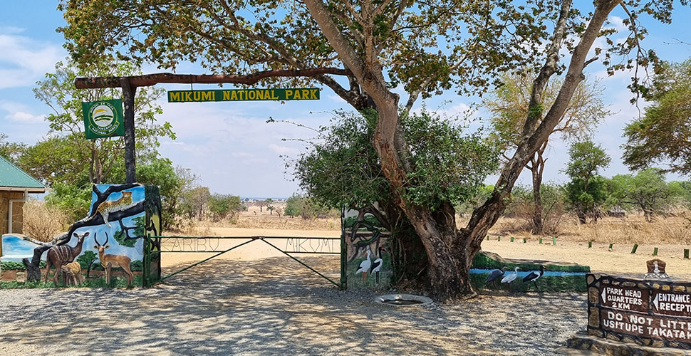 Vuma Hills Tented Camp / Mikumi Nationalpark 9