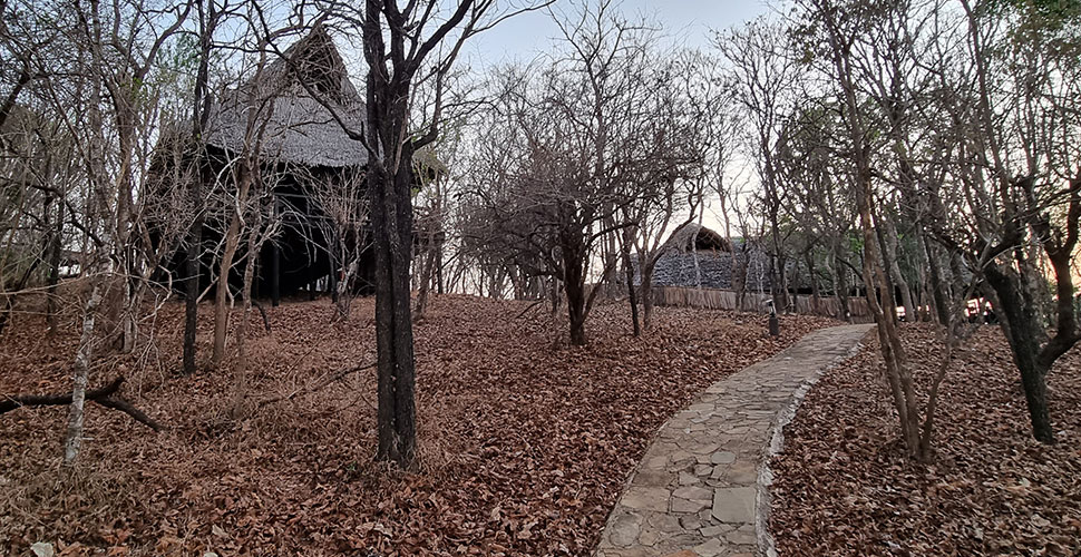 Vuma Hills Tented Camp / Mikumi Nationalpark 8