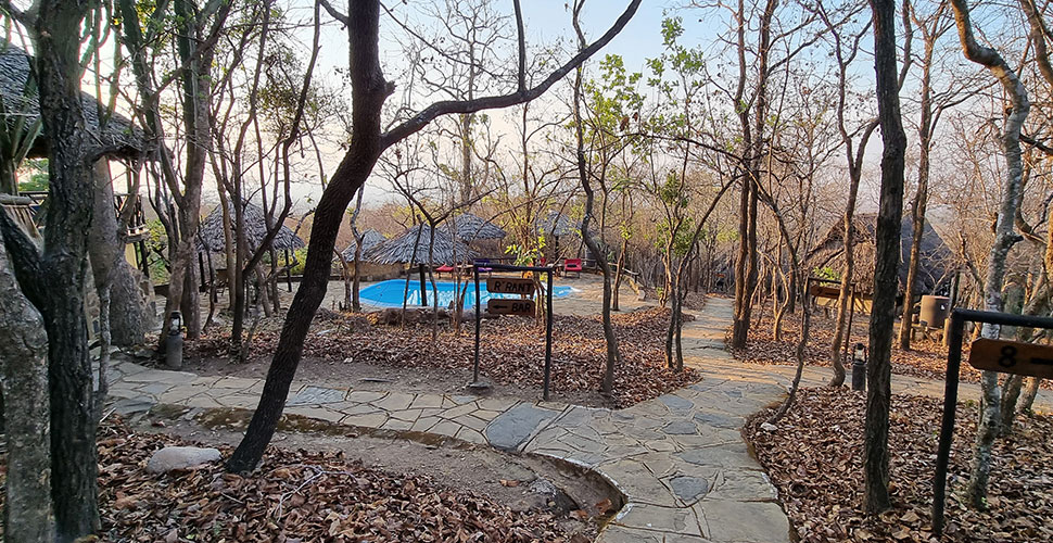 Vuma Hills Tented Camp / Mikumi Nationalpark 7