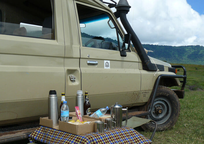 Abenteuer Serengeti / Flugsafari 4