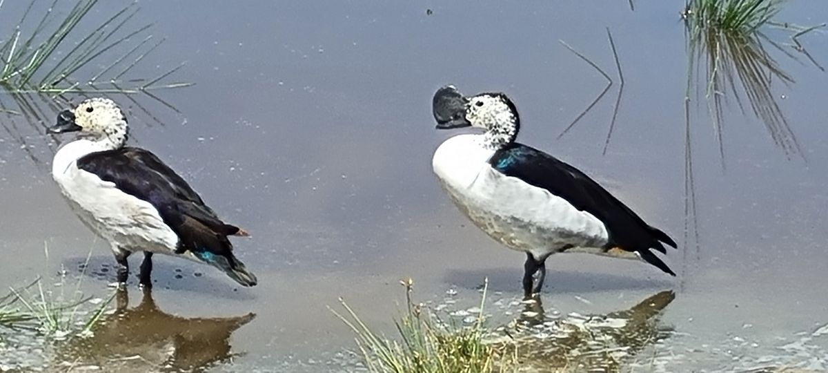 Südliches Tansania & traumhafter Sandstrand 10