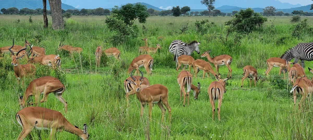 Südliches Tansania & traumhafter Sandstrand 5