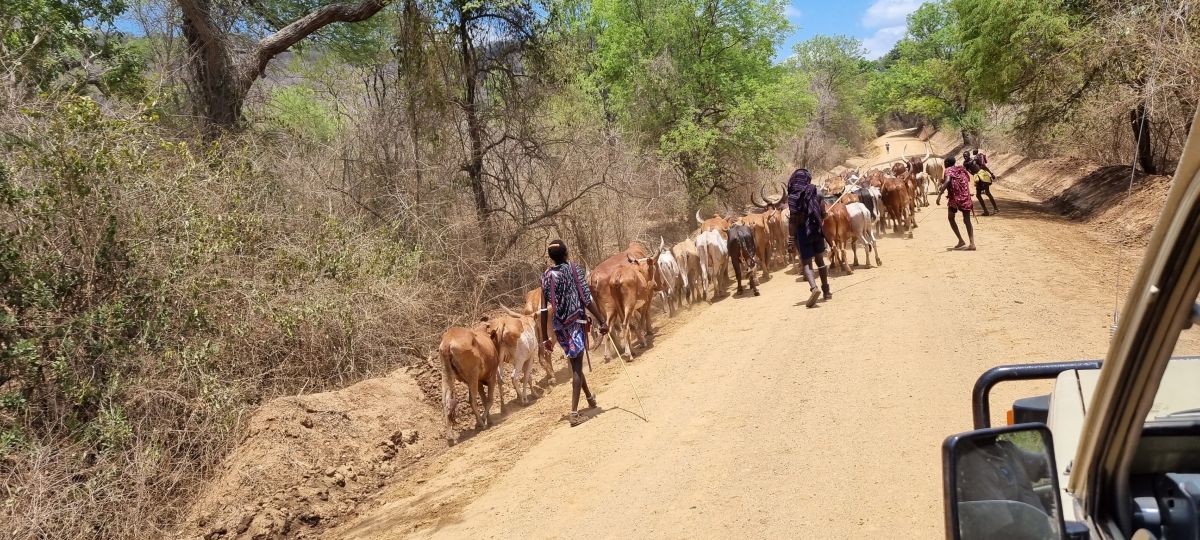 Südliches Tansania & traumhafter Sandstrand 7