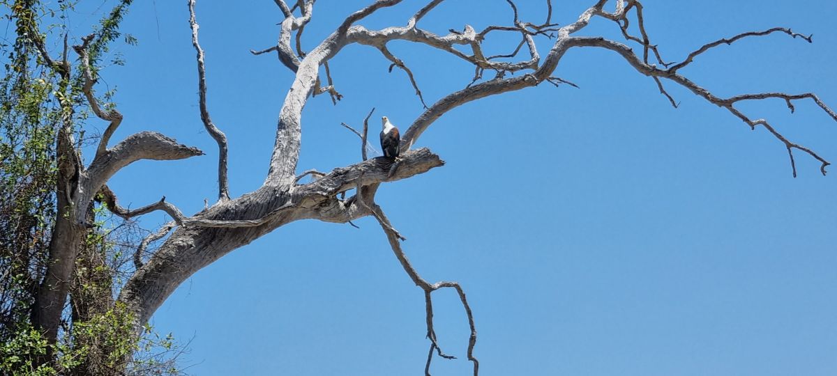 Südliches Tansania & traumhafter Sandstrand 4