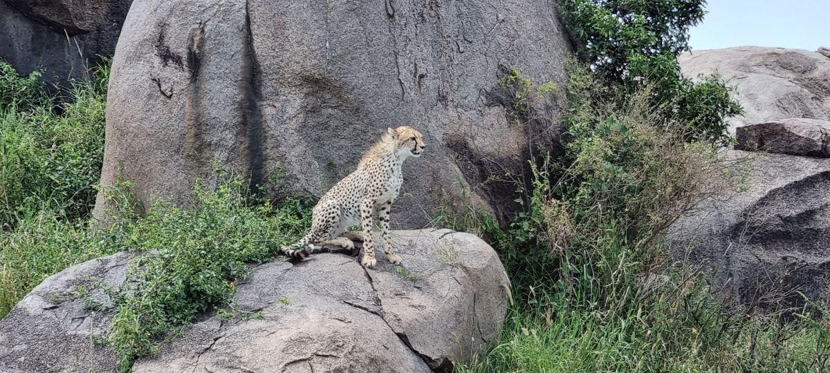 Südliches Tansania & traumhafter Sandstrand 3
