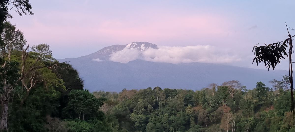 Abenteuer Tansania - Intensiv & aktiv erleben 1