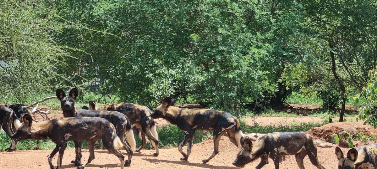 Abenteuer Tansania - Intensiv & aktiv erleben 4